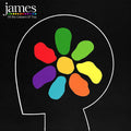 the album cover for James - All The Colours Of You [Indie Exclusive Limited Edition Purple/Black & Red/Black 2LP]