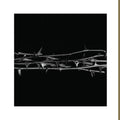 the album cover for Amenra - De Doorn [Indie Exclusive Limited Edition White 2LP]