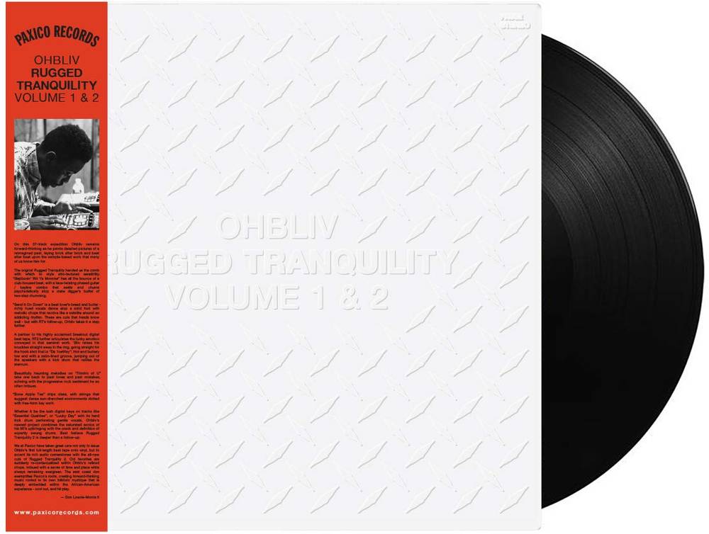 the album cover for ohbliv - Rugged Tranquility Vol. 1 & 2 [LP]
