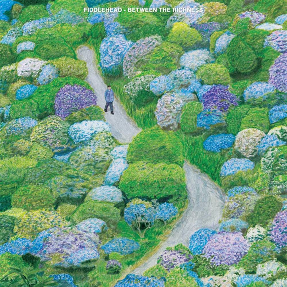 the album cover for Fiddlehead - Between The Richness [Indie Exclusive Limited Edition Blue & White Galaxy Swirl LP]