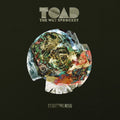 the album cover for Toad The Wet Sprocket - Starting Now - CANCELLED