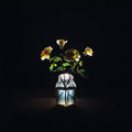 the album cover for Billy Strings - Renewal [Indie Exclusive Limited Edition Coke Bottle Clear 2LP]