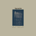 the album cover for Karate - In Place Of Real Insight [Gold Martini LP]
