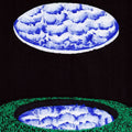 the album cover for Squid - Near The Westway [Import LP]