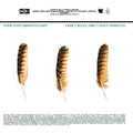 the album cover for Appleseed Cast - Low Level Owl [Indie Exclusive Limited Edition White LP]