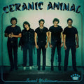 the album cover for Ceramic Animal - Sweet Unknown