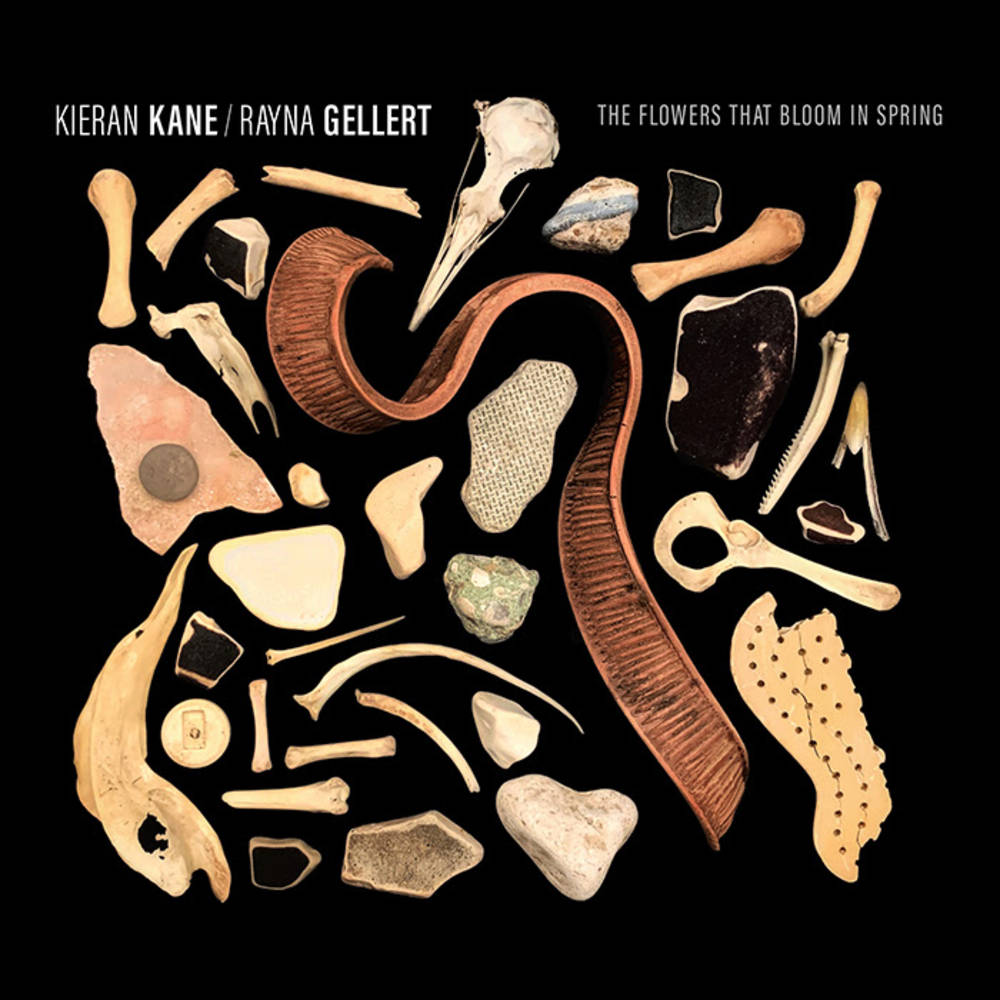 the album cover for Kieran Kane and Rayna Gellert - The Flowers That Bloom in Spring