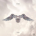 the album cover for Zayn - Icarus Falls [Hot Pink 2LP]