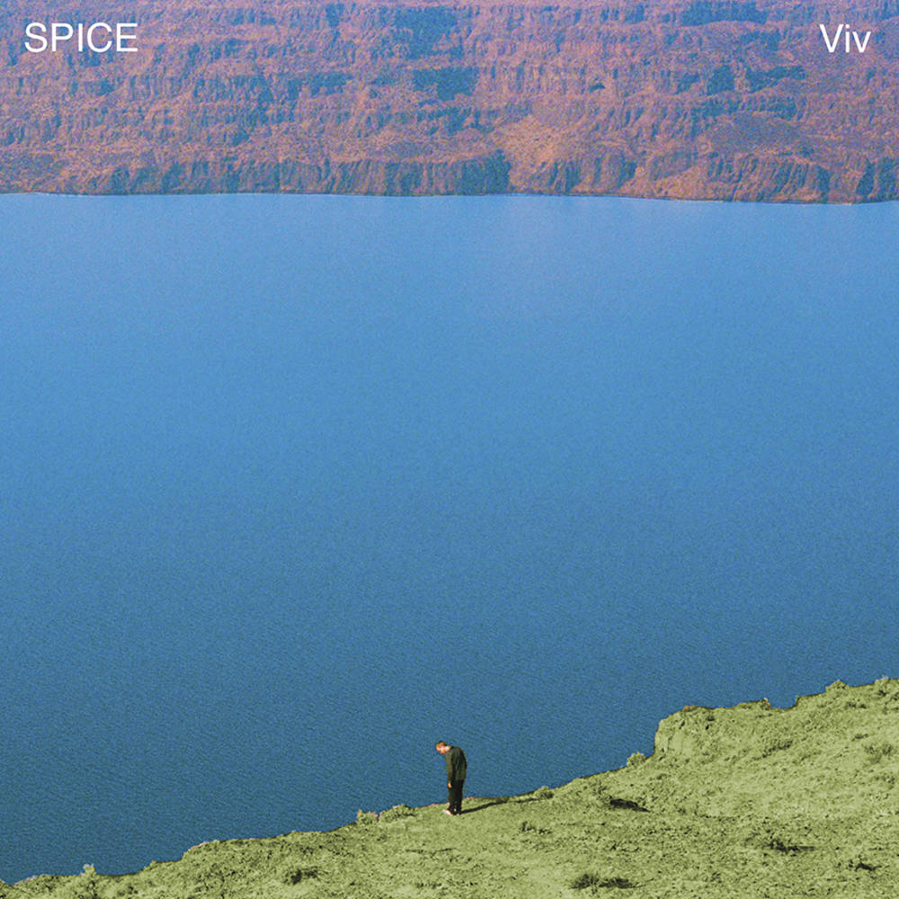the album cover for Spice - Viv [Orange & Mint LP]