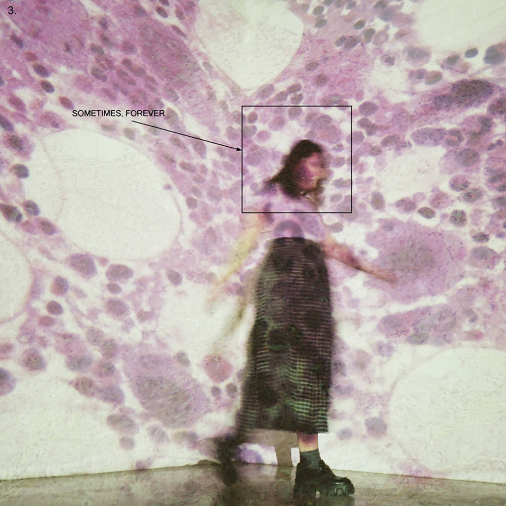 the album cover for Soccer Mommy - Sometimes, Forever [Indie Exclusive Limited Edition Pink/Black Splatter LP]