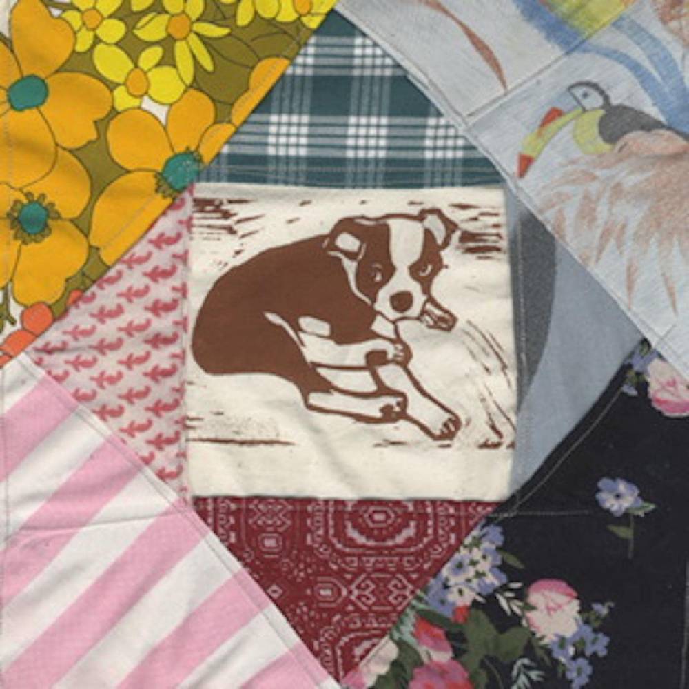 the album cover for Mapache - Roscoe's Dream