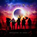 the album cover for Sunstorm - Brothers In Arms