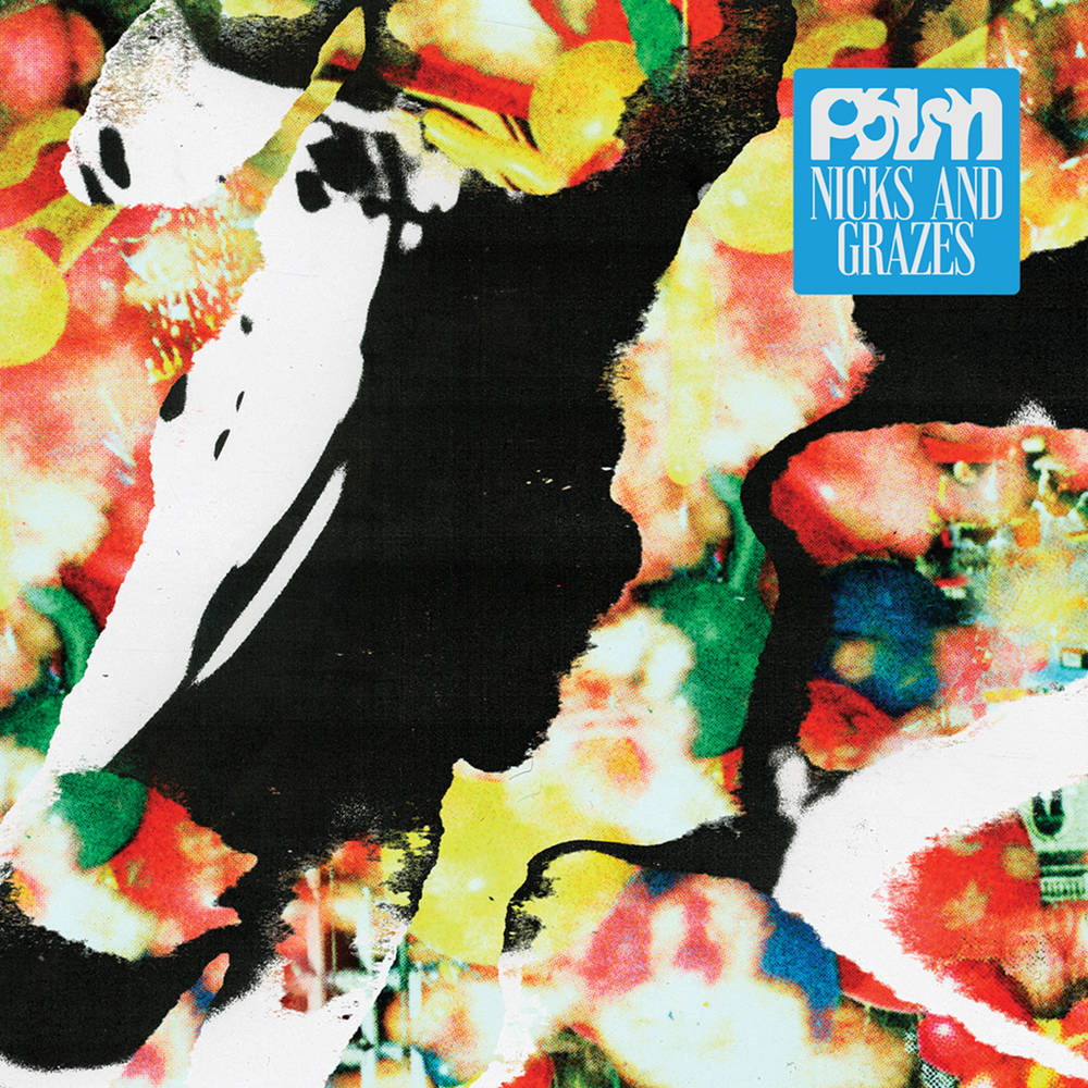 the album cover for Palm - Nicks and Grazes [Indie Exclusive Limited Edition Dutch Orange LP]
