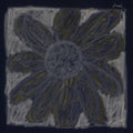 the album cover for Florist - Florist