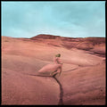 the album cover for Margo Price - Strays [Indie Exclusive Limited Edition Purple Smoke LP]