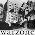 the album cover for The Missing Brazilians - Warzone [LP]