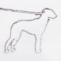 the album cover for Jonah Yano - Portrait Of A Dog [2LP]