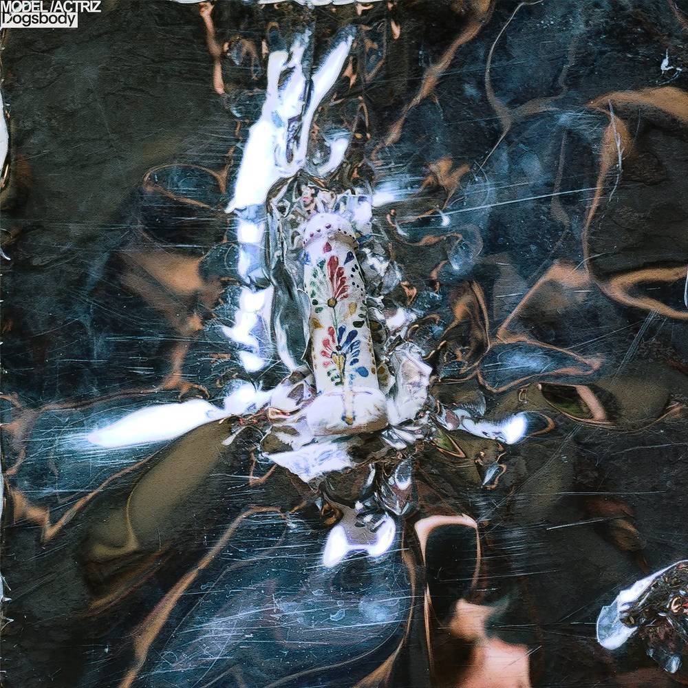 the album cover for Model/Actriz - Dogsbody [White LP]