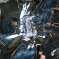 the album cover for Model/Actriz - Dogsbody [Purple LP]