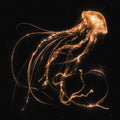 the album cover for Royal Blood - Back To The Water Below [Indie Exclusive Limited Edition Clear LP]