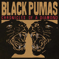 the album cover for Black Pumas - Chronicles Of A Diamond [Indie Exclusive Limited Edition Cloudy Clear & Red LP]