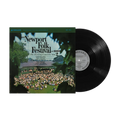 the album cover for Various Artists - Newport Folk Fest 1963: The Evening Concert / Various