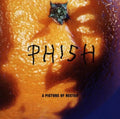 the album cover for Phish - Picture Of Nectar [Colored Vinyl] (Can)