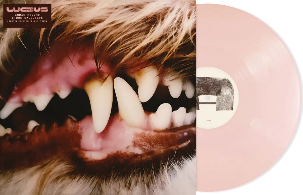 the album cover for Lucius - Lucius [Indie Exclusive Opaque Pink Vinyl]