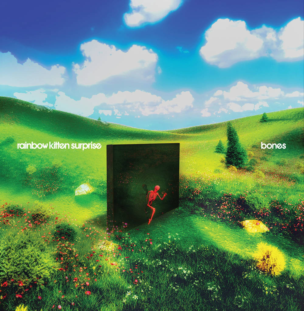 the album cover for Rainbow Kitten Surprise - bones