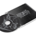 the album cover for Nirvana - Nirvana 2002 Recordings 89-91 [CD]