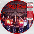 the album cover for Skid Row - Live at the Moscow Music Peace Festival - deleted r s d 2 6
