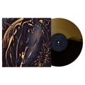the album cover for Commoner - Former Self [Black Ice / Gold]