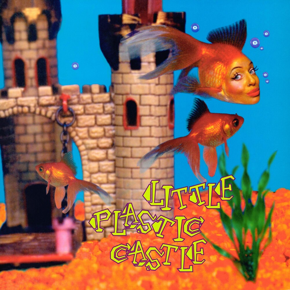 the album cover for Ani DiFranco - Little Plastic Castle (25th Anniversary Edition)