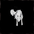 the album cover for Sigur Ros - Kveikur [RSD 2023] []