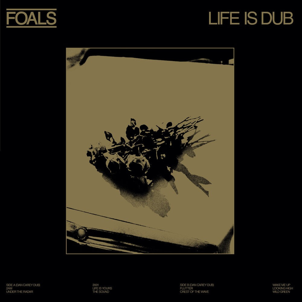 the album cover for Foals - Life Is Dub [RSD 2023] []