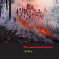 the album cover for Chickasaw Mudd Puppies - Fall Line [Clear Vinyl] (Gate) (Org) (Stic) [With Booklet]