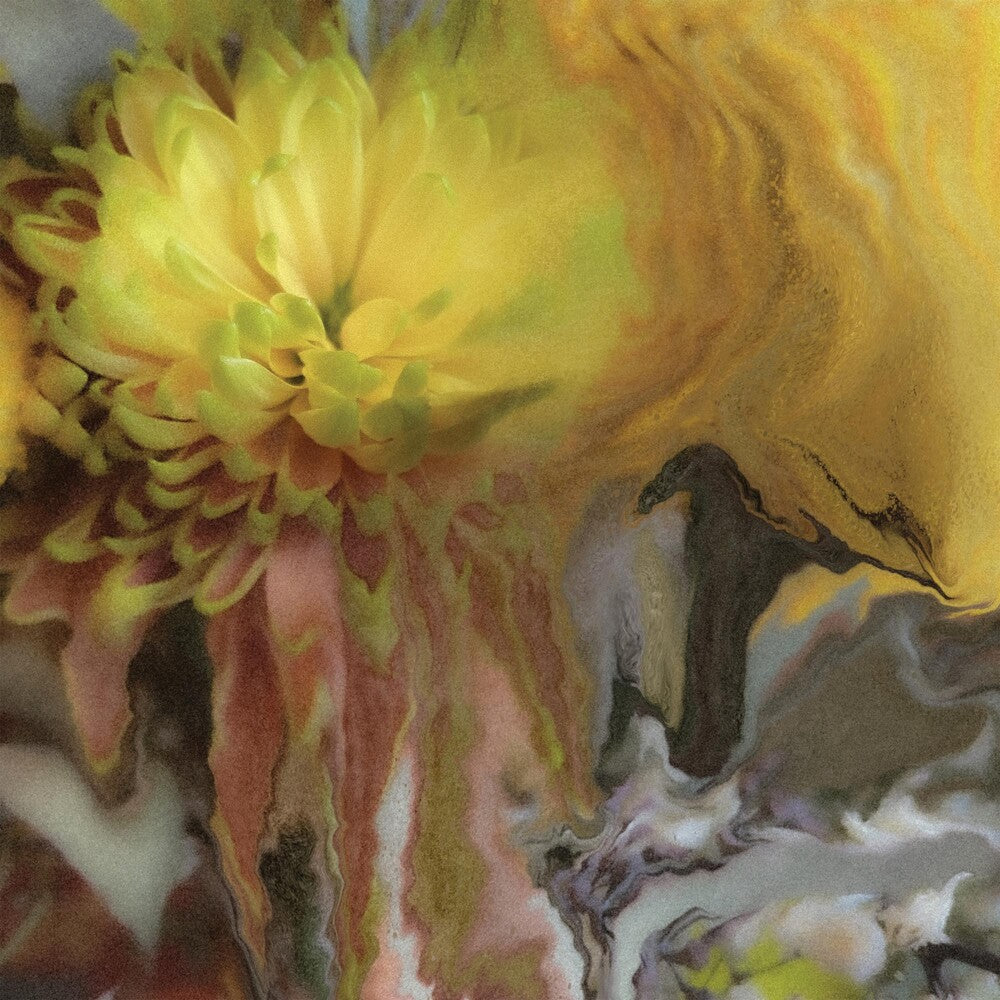 the album cover for Parker Millsap - Wilderness Within You [LP]