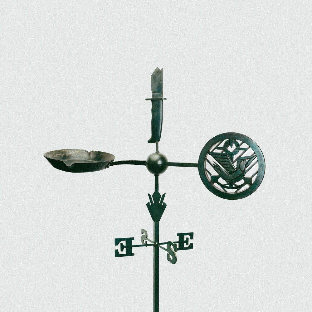 the album cover for Jason Isbell And The 400 Unit - Weathervanes [Indie Exclusive Low Price CD]