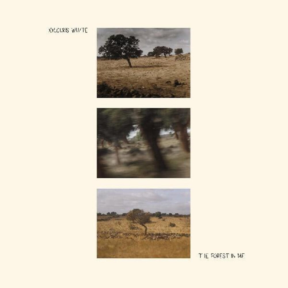 the album cover for Xylouris White - Forest In Me