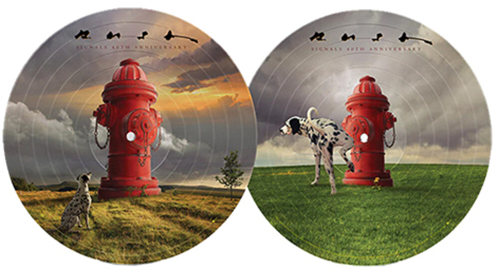 the album cover for Rush - Signals: 40th Anniversary [Picture Disc LP]