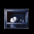 the album cover for Paul Leary - Laments