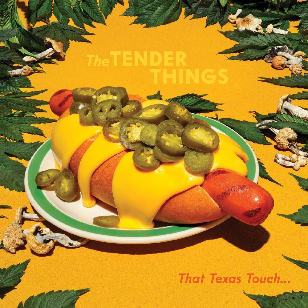 the album cover for Tender Things - That Texas Touch