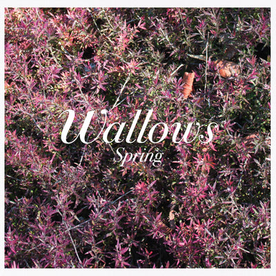 Wallows - Spring (Mod) [CD]