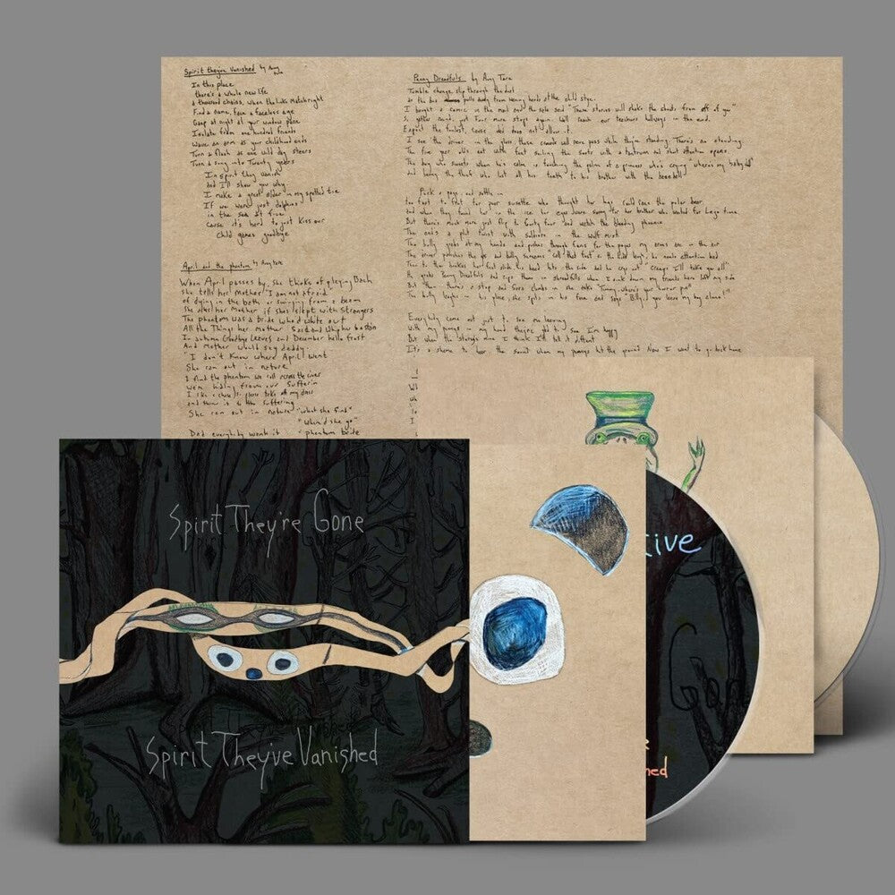the album cover for Animal Collective - Spirit They're Gone, Spirit They've Vanished: Remastered 2023 [2CD]