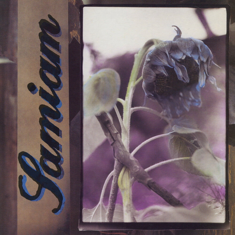 the album cover for Samiam - Samiam - Black/Purple Splatter (Blk) [Colored Vinyl] (Purp)
