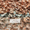 the album cover for Cable Ties - All Her Plans [Indie Exclusive Limited Edition Blue LP]