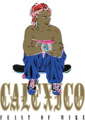 the album cover for Calexico - Feast of Wire: 20th Anniversary Deluxe Edition [2CD]