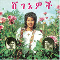 the album cover for Aselefech Ashine - Beauties