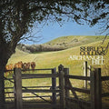 the album cover for Shirley Collins - Archangel Hill
