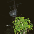 the album cover for Giuseppe Ielasi - Down On Darkened Meetings
